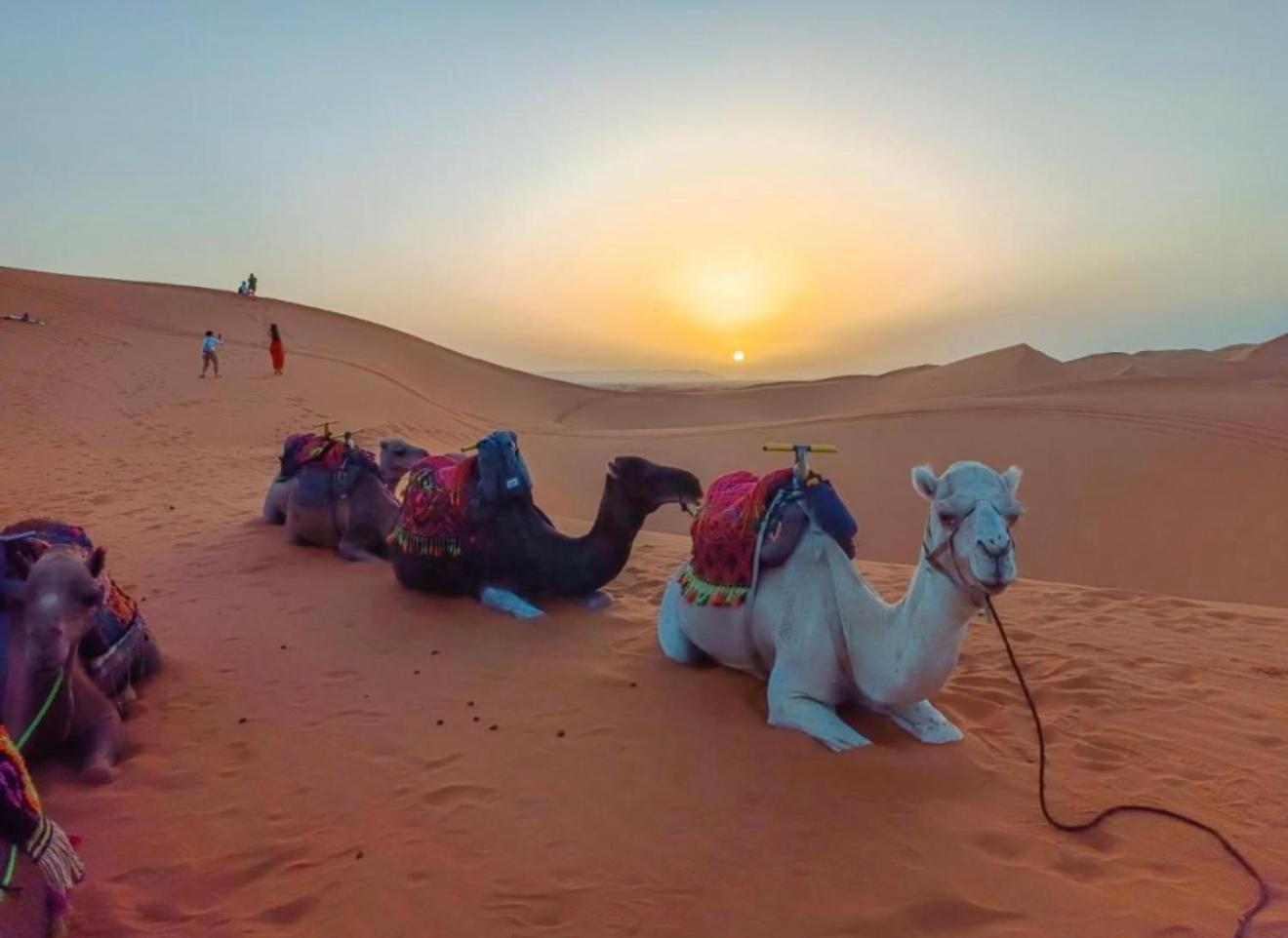 Merzouga Lovely Luxury Camp Экстерьер фото
